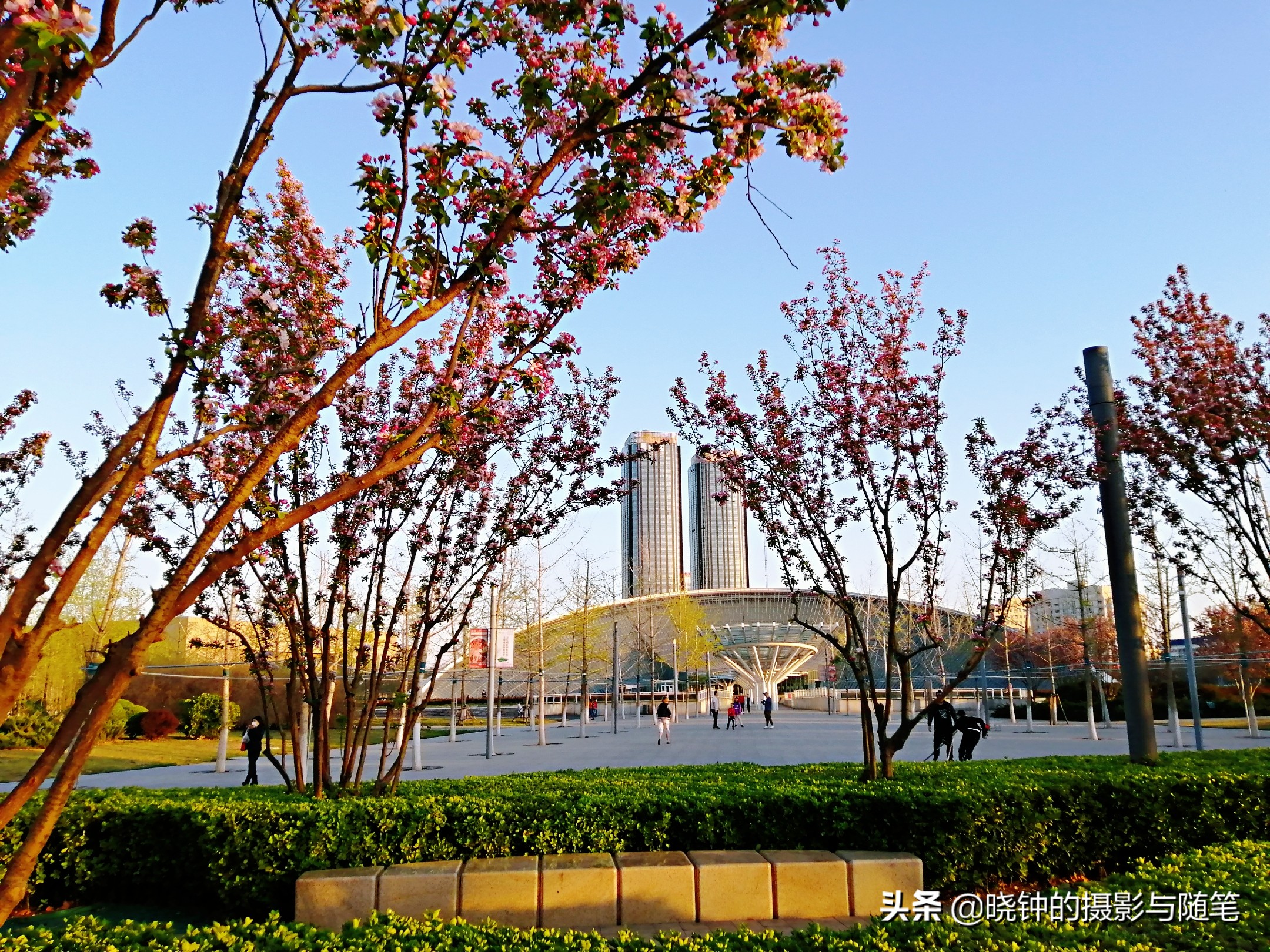 天津市亲子游推荐,天津市南开区亲子游十佳去处