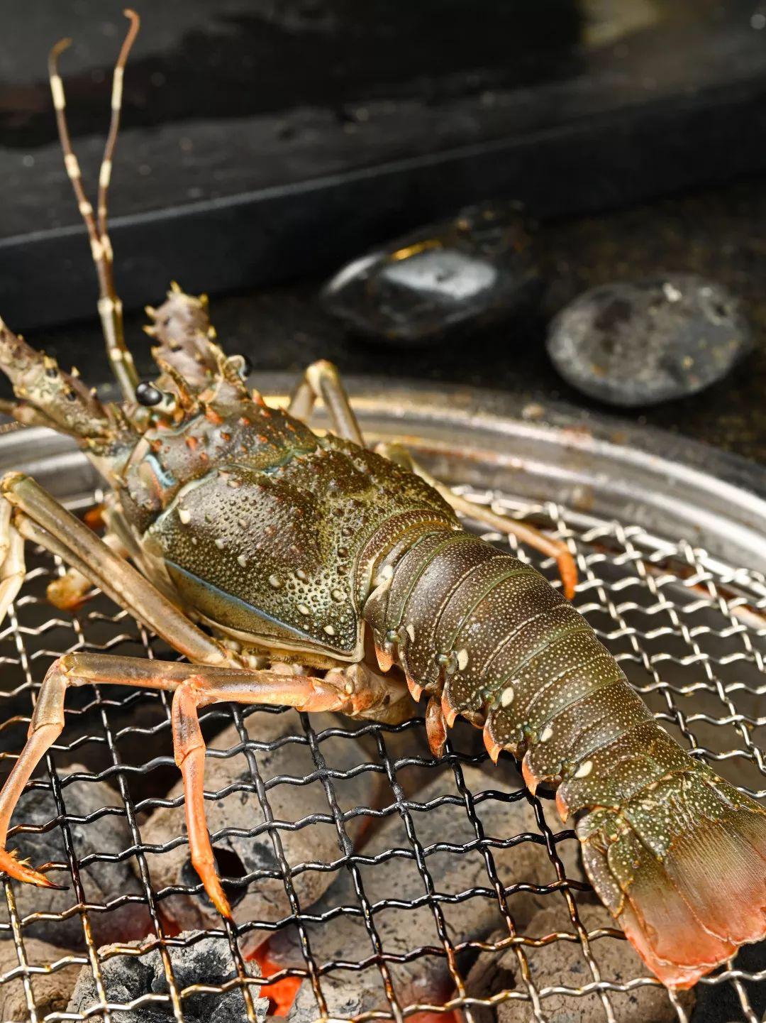 广州top1韩式烤肉店,广州烤肉top1