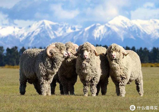 冬天户外穿什么衣服比较合适,冬季穿衣搭配如何保暖