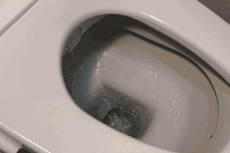 智能马桶看哪些参数,智能马桶的最新知识