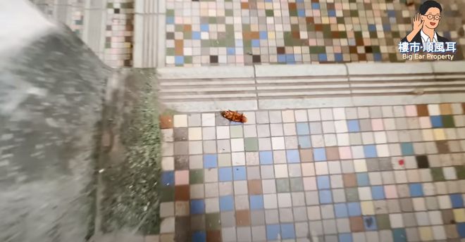 在香港3000块能租到房子吗,在香港月租2w的房子