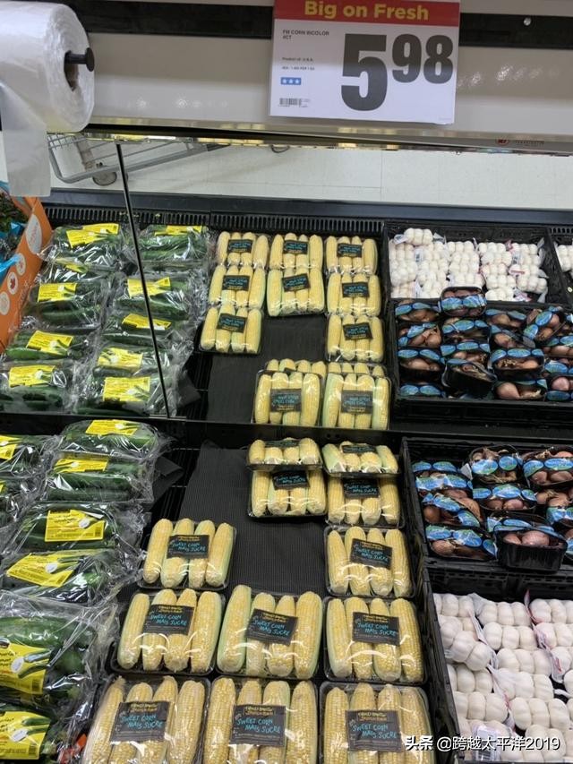 加拿大超市购物必买 (加拿大多伦多costco购物必买)