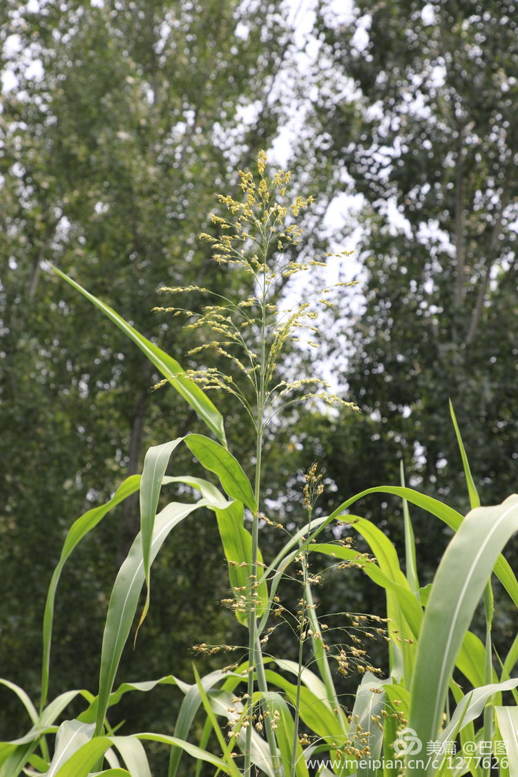 洛阳偃师徒步旅行，7个多小时3万多步，轘辕关下探访火星宫