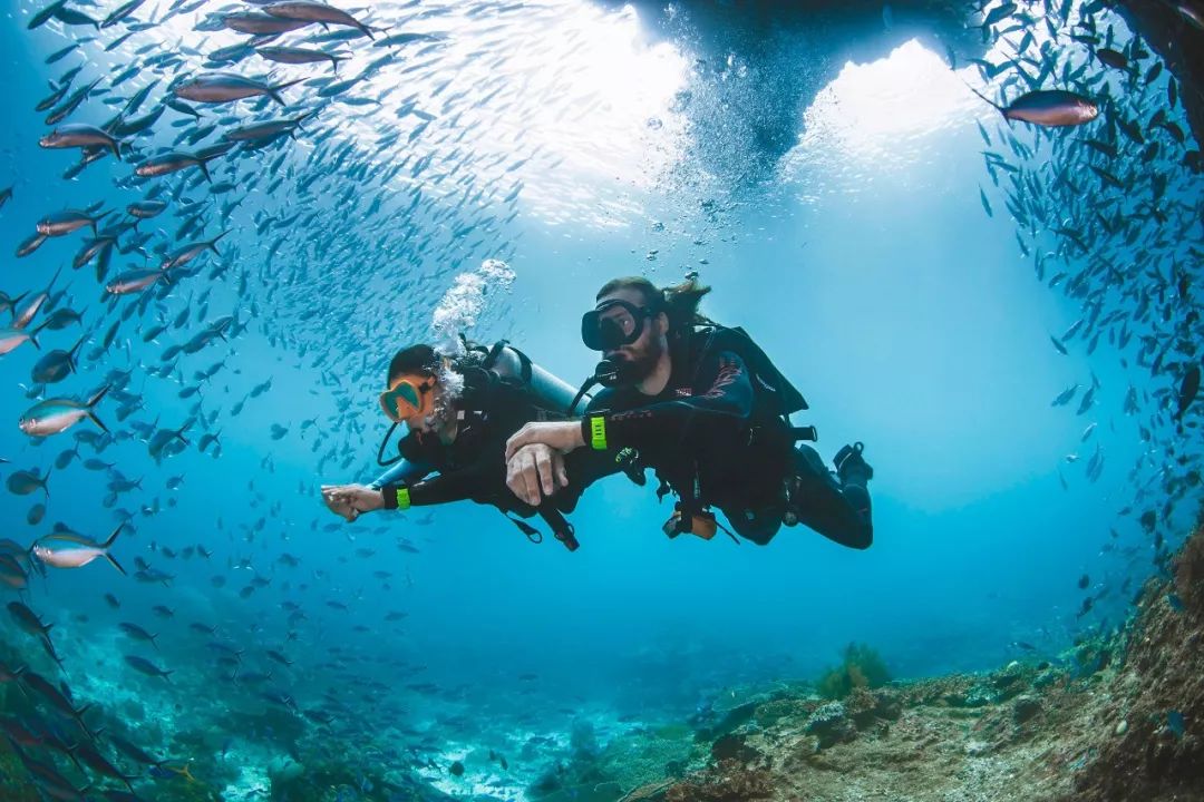 沛纳海潜水表哪个系列好,沛纳海潜水表评价