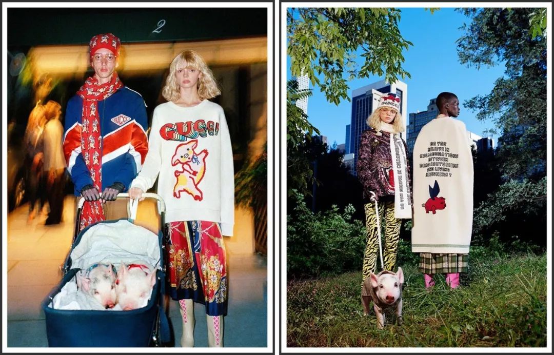 猪都拍时尚大片了，你还在穿妈妈给你买的红秋裤？