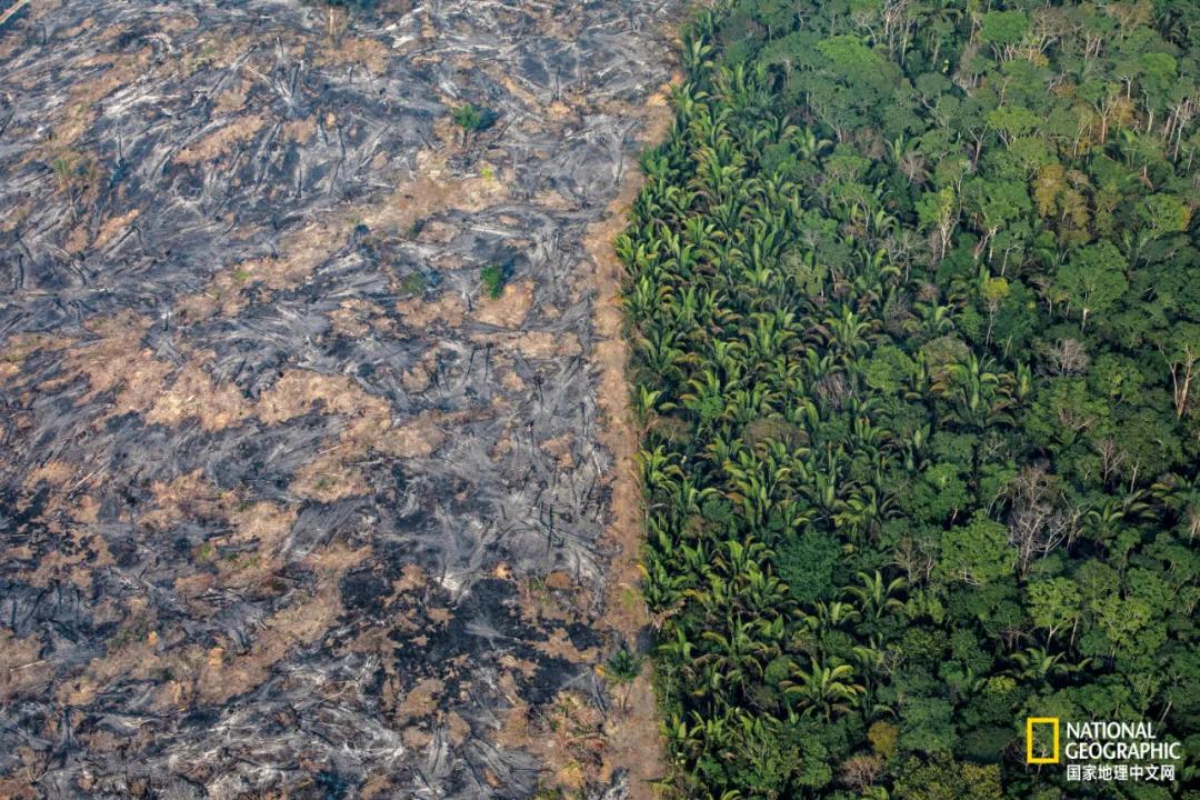 我们的地球很老了吗,地球还能再活几岁