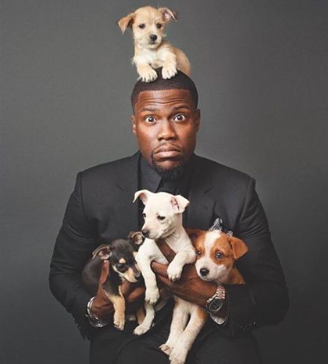 奥斯卡主持人现状,奥斯卡打脸主持人