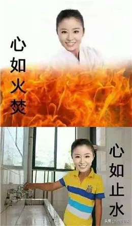 当沙雕网友盯上成语表情包