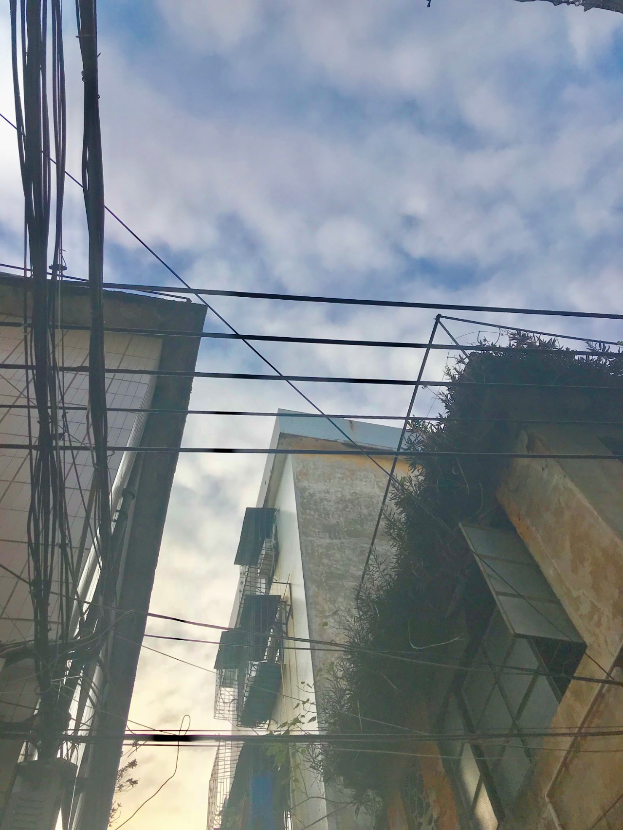 顺德大良顺德菜美食店,顺德大良同晖路上有什么美食店