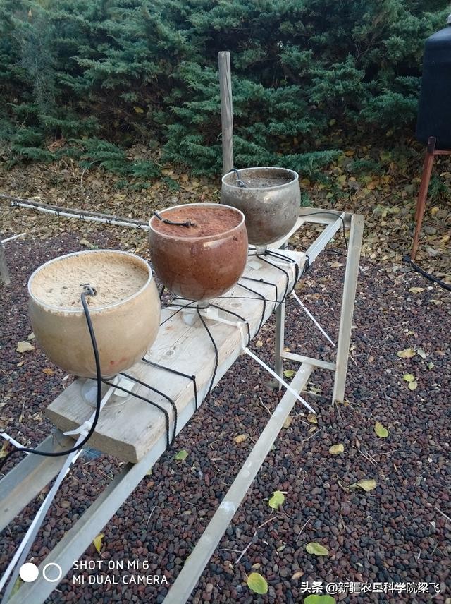 改良酸性土壤用酸性无机肥可以不,碱性土壤用什么复合肥改良