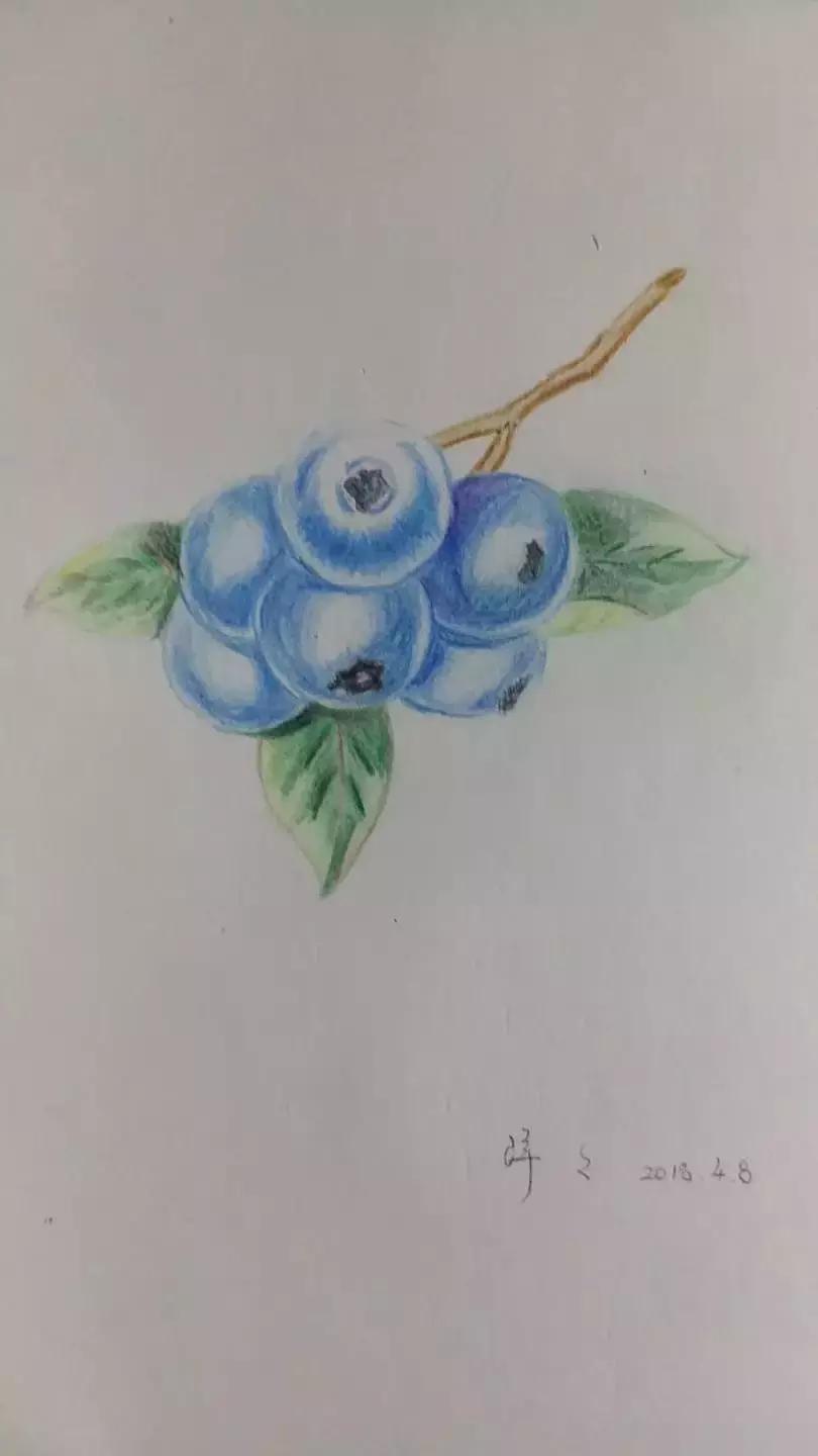 如何快速掌握零基础入门素描,零基础学素描快速入门第一课