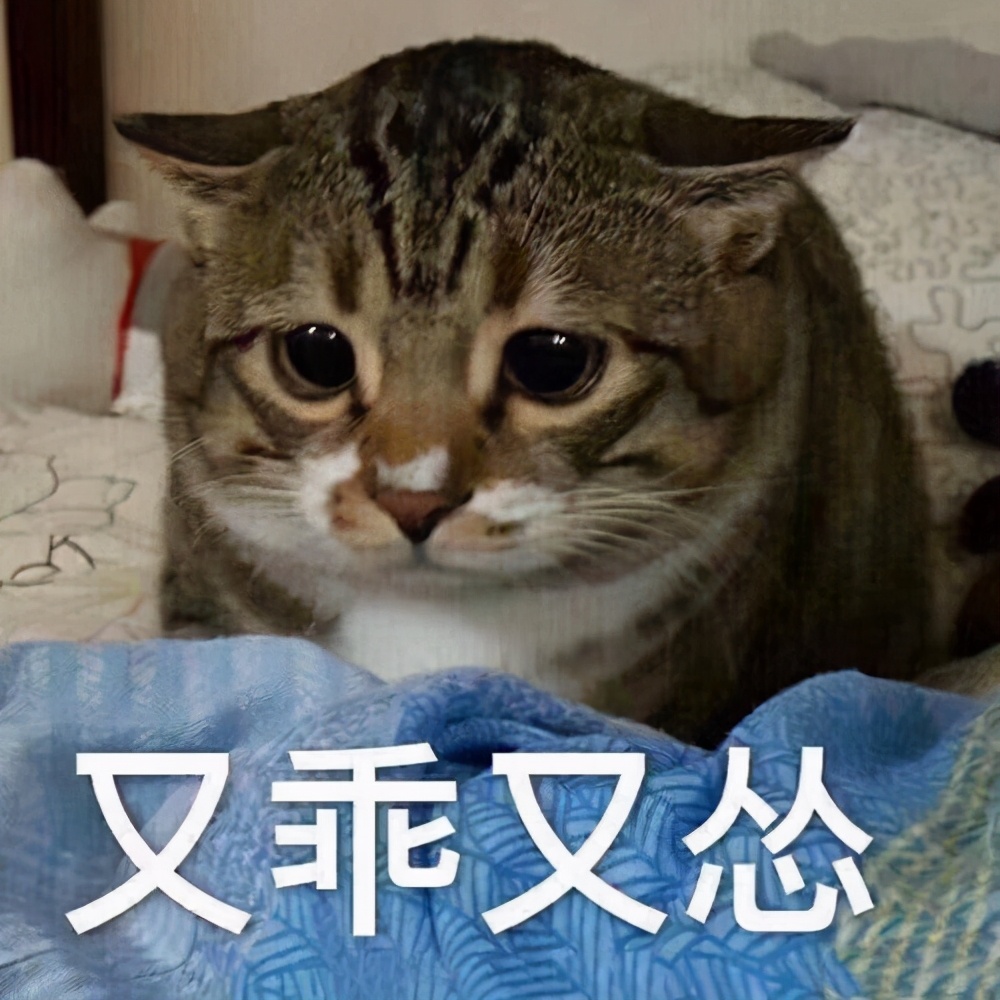 正畸矫正的六大步骤和时间,正畸矫正的六大步骤视频