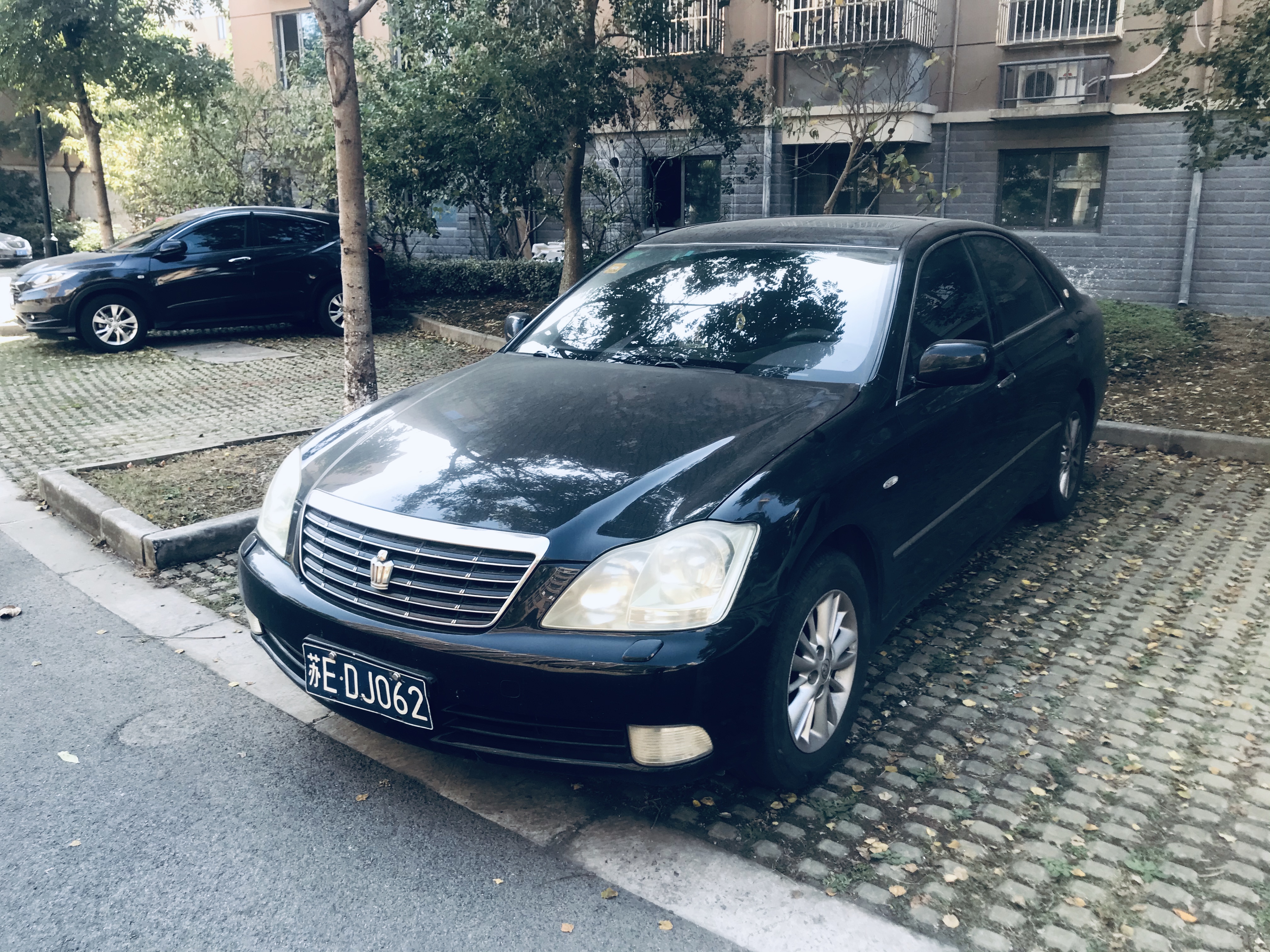 意外收获巨无霸,意外收获超级加倍名牌