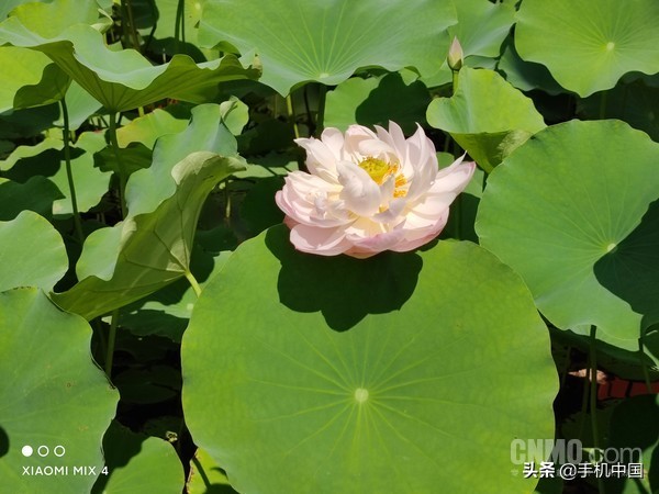 小米mix4拆机评测视频,小米mix4评测