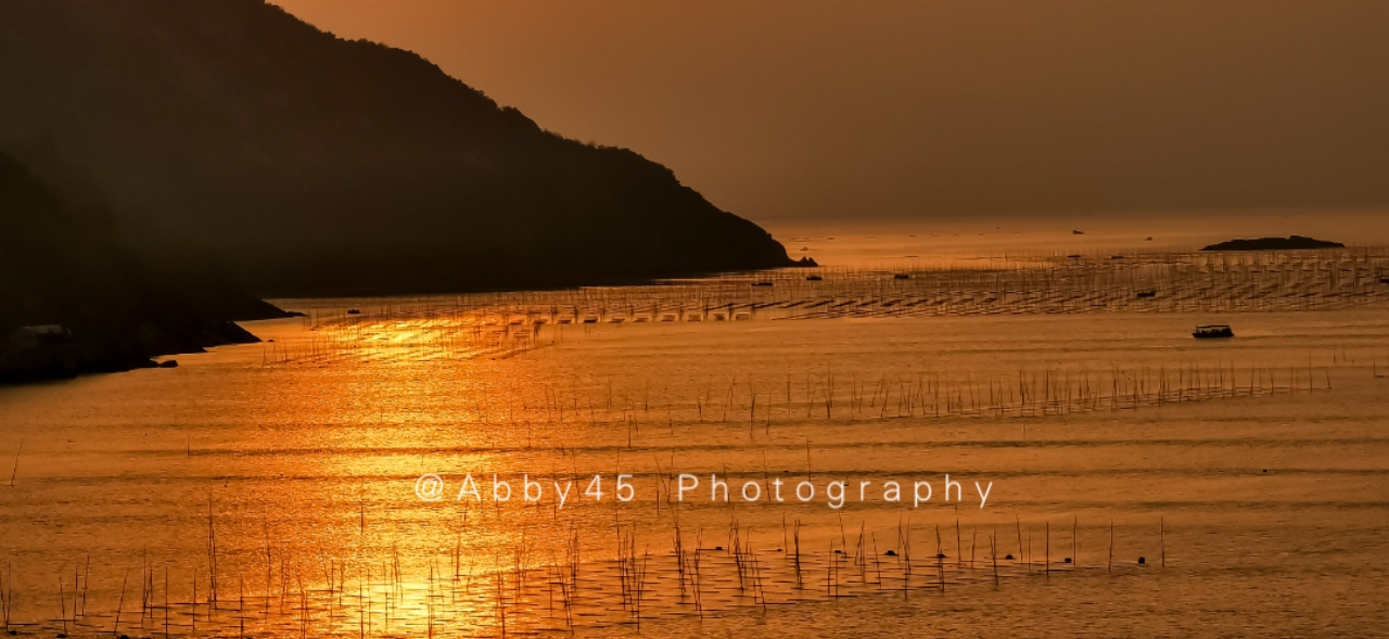 如果只有一天去浙江哪里玩,如果只有一天时间去哪玩