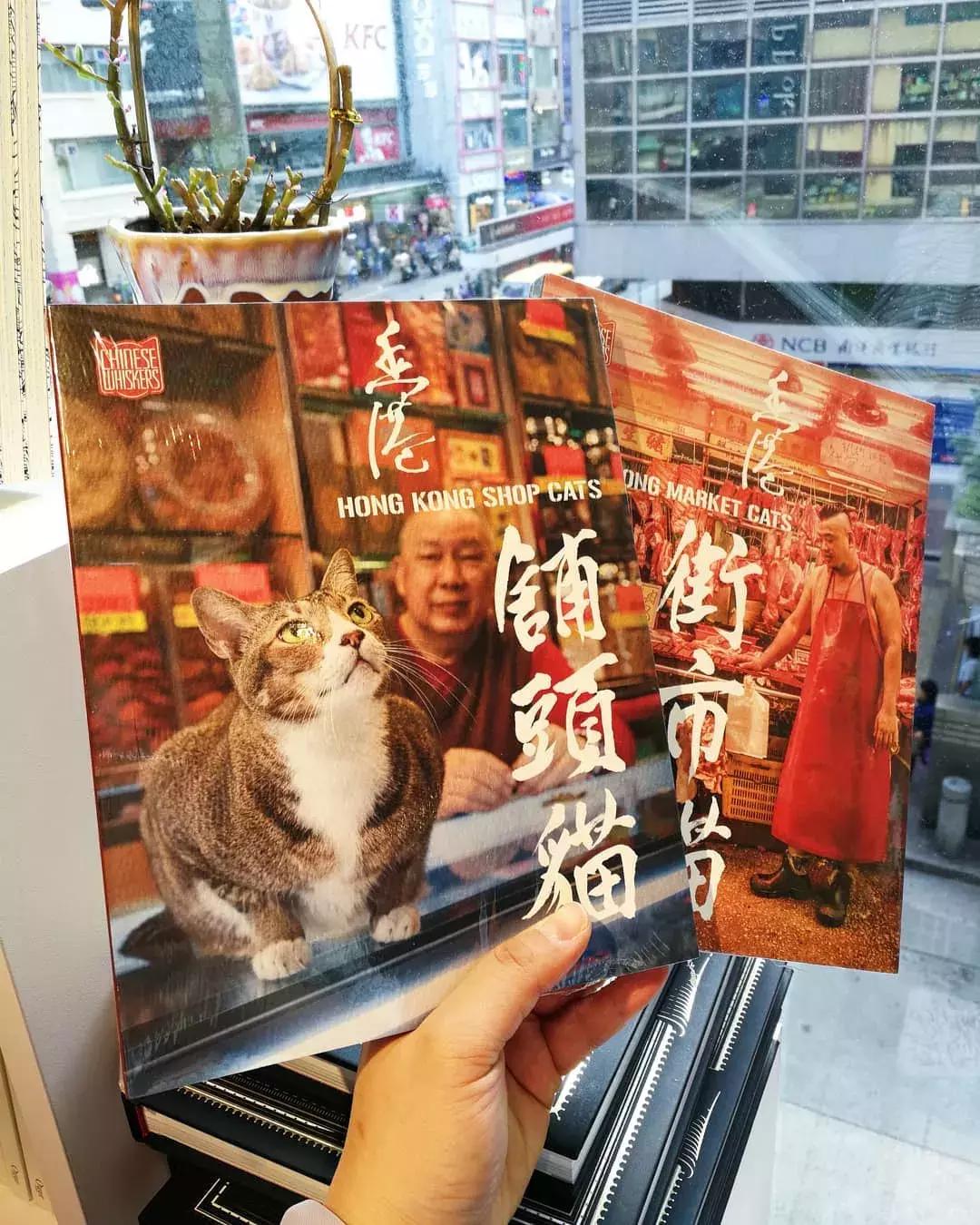 结束逛吃逛吃的香港之旅,香港自由行一日游逛吃攻略