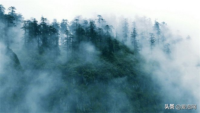 峨眉山和瓦屋山哪个更好,峨眉山一日游精选游记