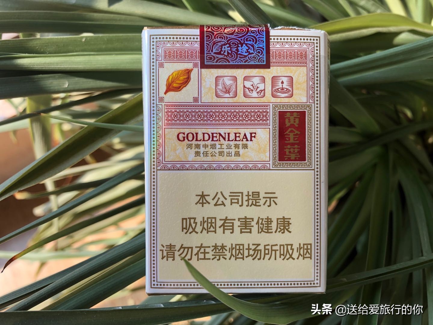 旅行不只有美食，还有藏在一支支香烟中的地域文化