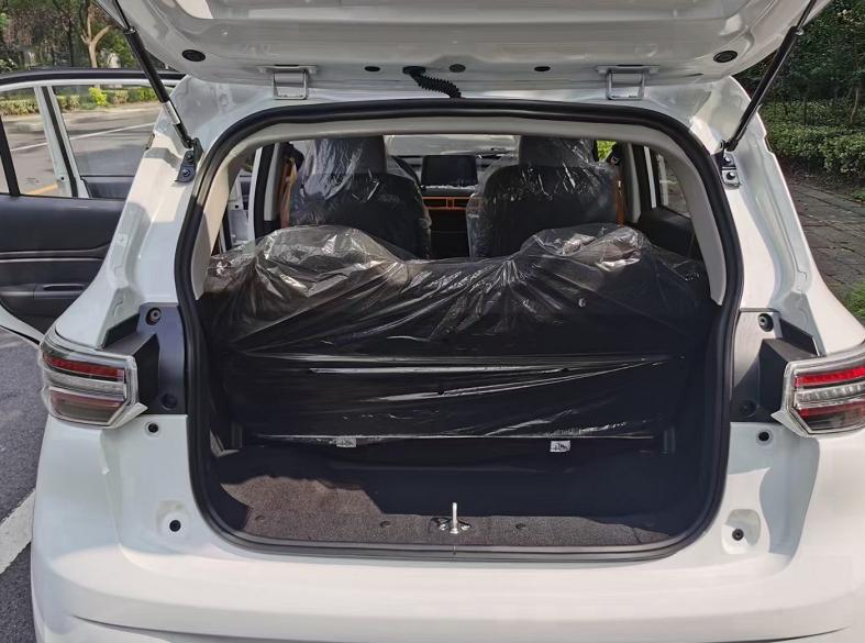 2万元以下雷丁电动汽车,雷丁芒果新能源汽车两门四座