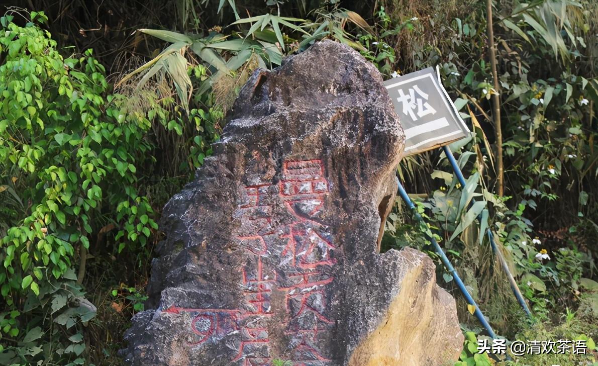 「春访茗山寻味江湖」茗山兵器谱之“七星龙泉剑”——倚邦曼松