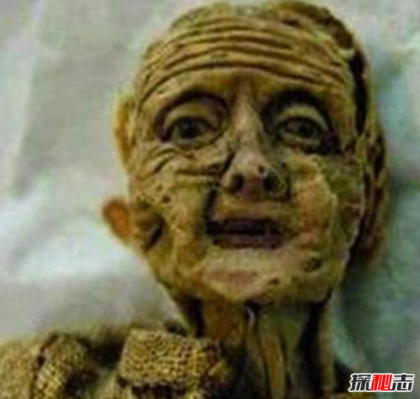 洋娃娃放什么位置,洋娃娃可怕视频