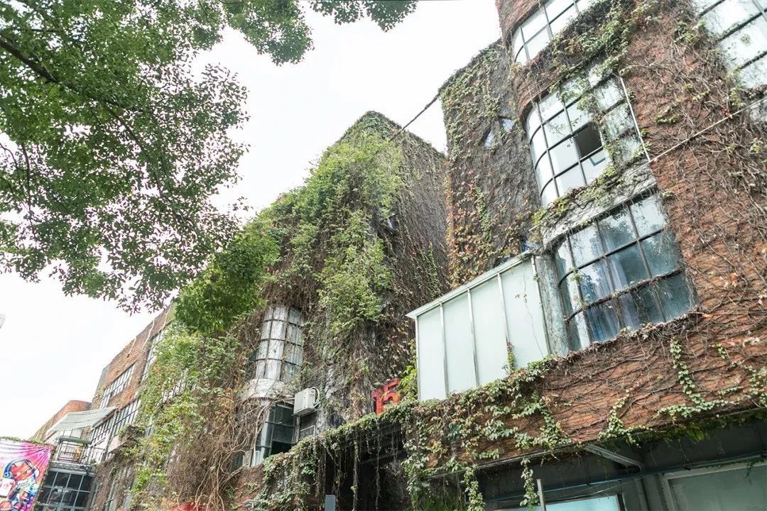 深圳夜晚小众打卡地景点,深圳十个小众打卡地