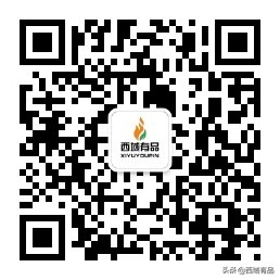 民勤蜜瓜和金红宝蜜瓜区别,民勤蜜瓜金红宝多少钱一斤