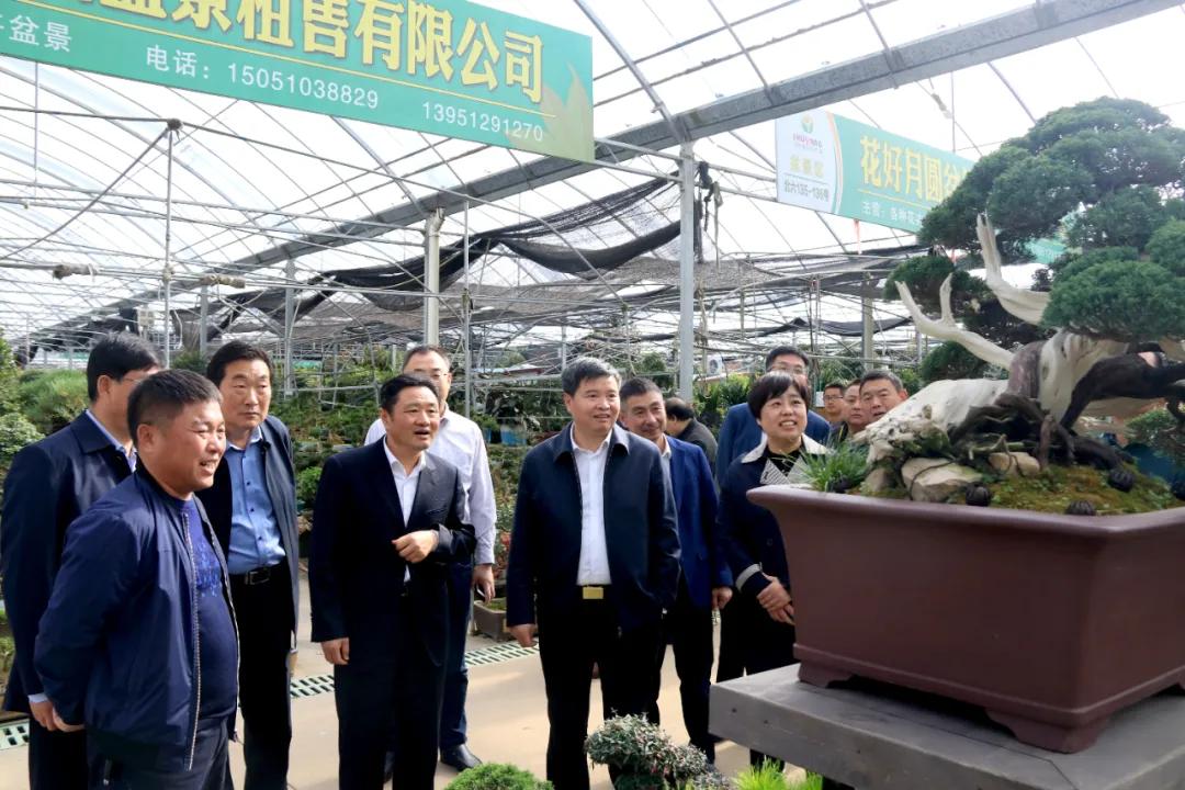 宿迁市沭阳县沭阳国际花木城,沭阳国际花木城布局