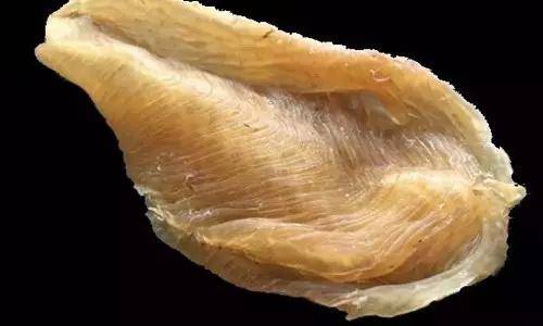 鱼胶知识大全视频,最全常识看完涨知识