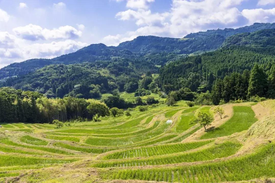 日本美景8k超高清,日本自然人文美景