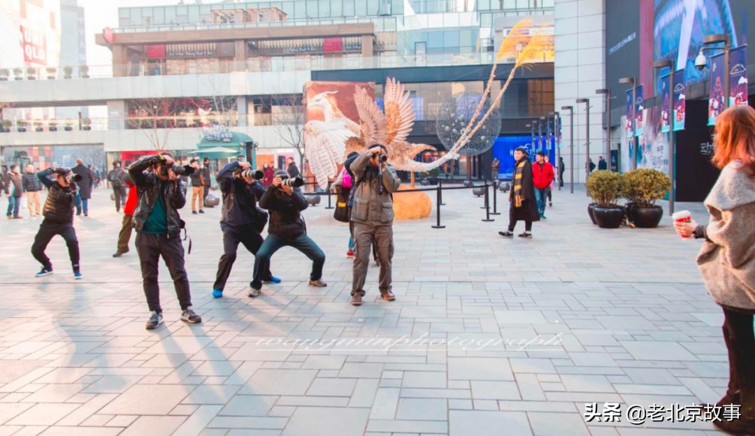 北京有16个区,不知道您眼中的那个区是什么样的呢?