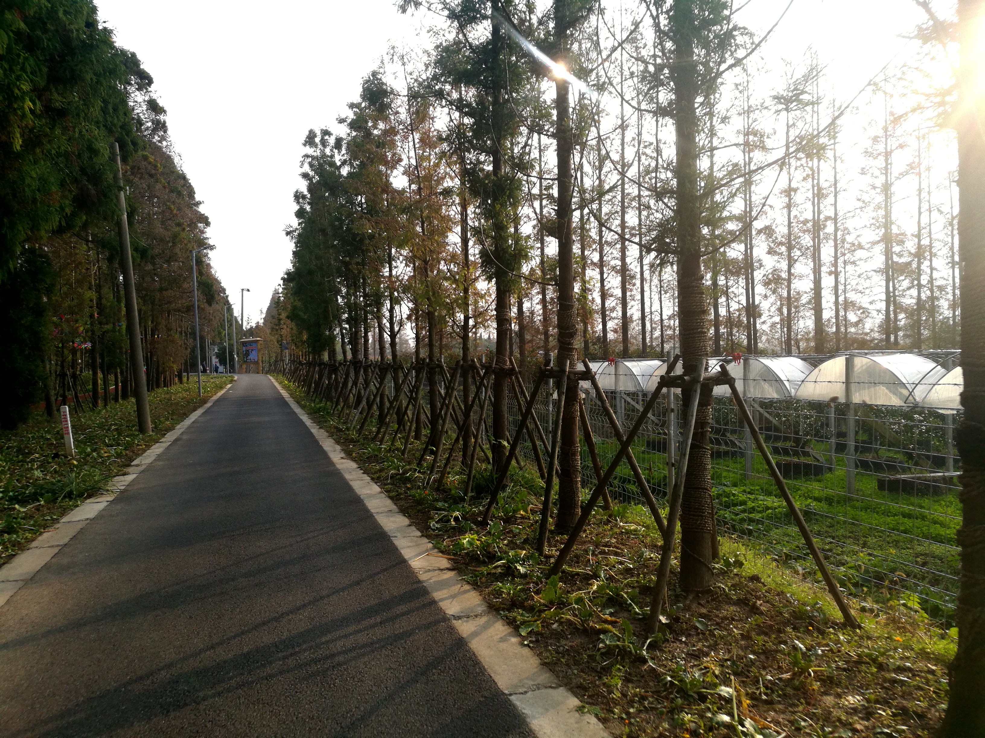 上海崇明岛郊野公园扩建工作,崇明长兴岛公园规划