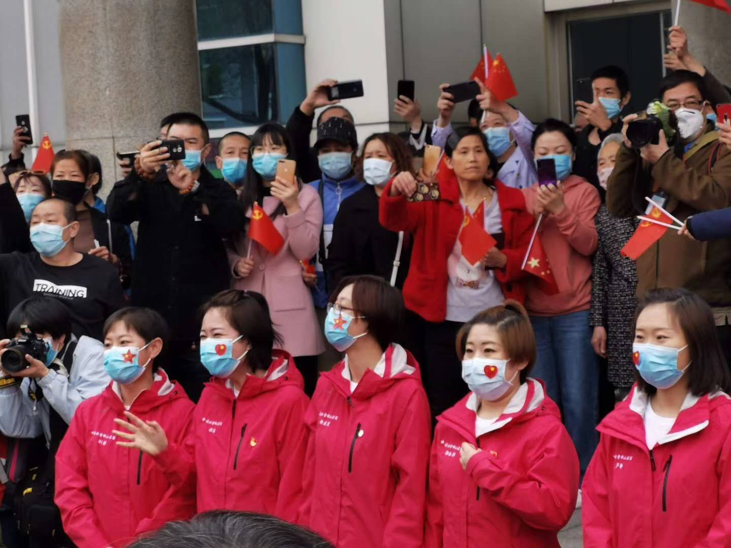 五朵金花百合,张家口市宣化5朵金花