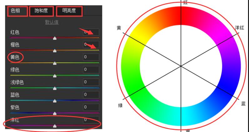 photoshopcameraraw,cameraraw14.0教程完整版