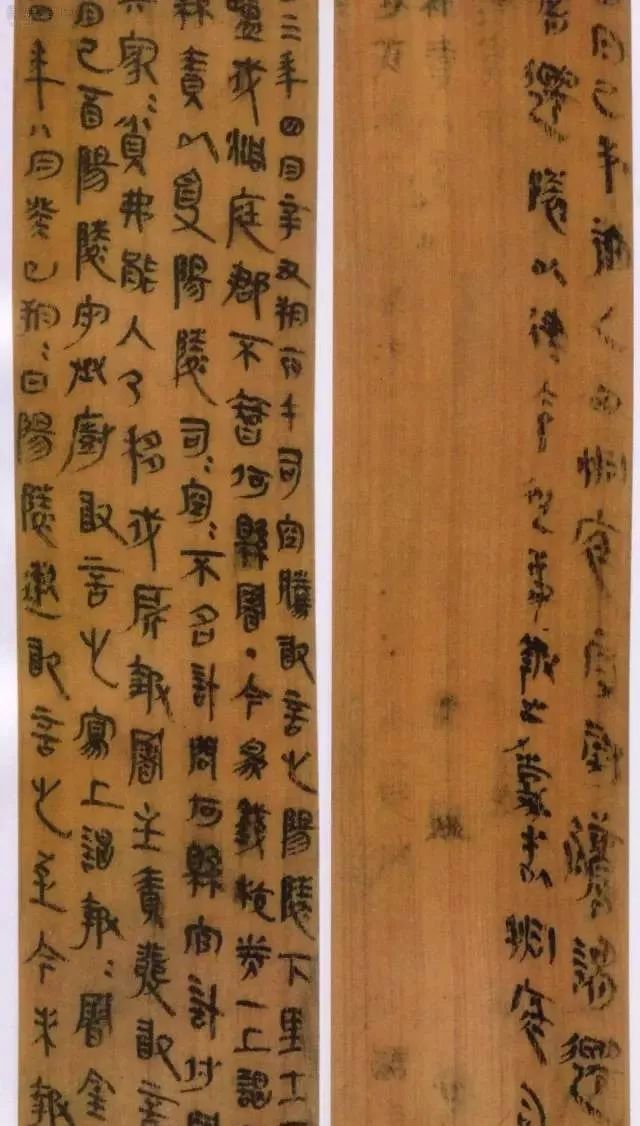 里耶秦简完整视频,里耶秦简