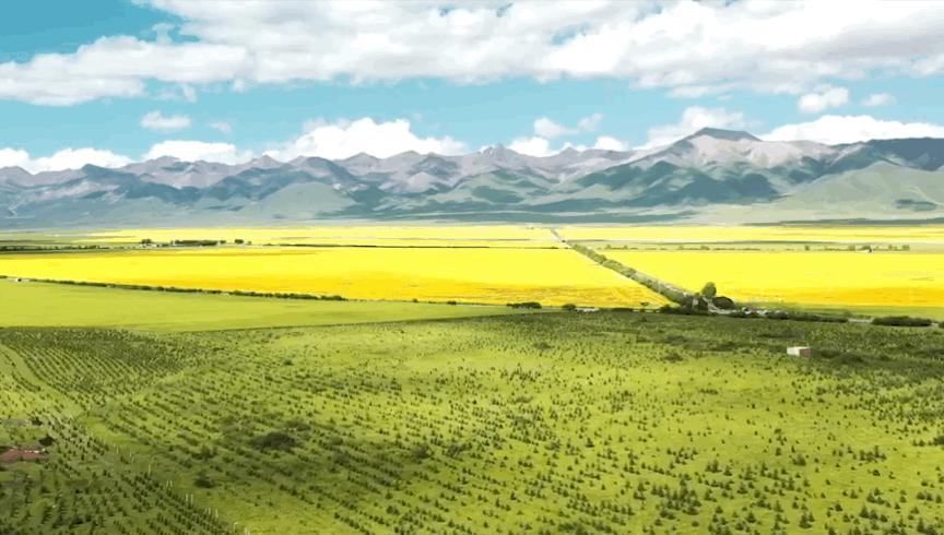 最适合改装的越野房车,三个90后开民宿