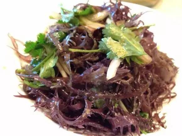 史上最全面的海鲜大咖,史上最全海鲜视频