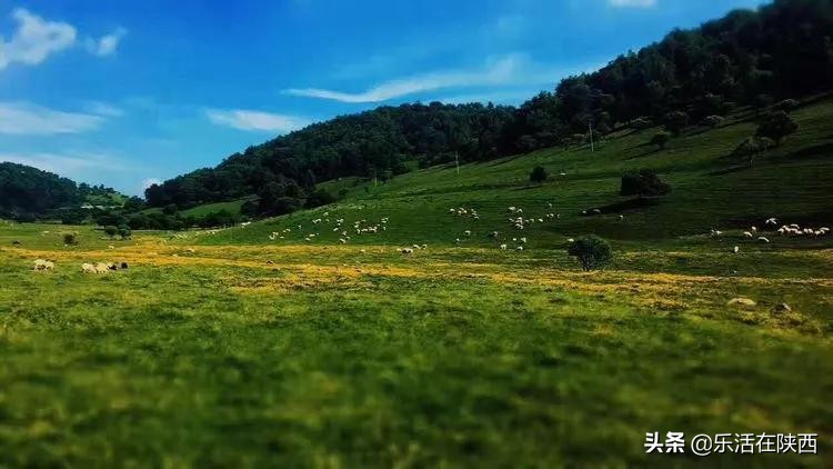 宝鸡周边夏日避暑绝佳去处,避暑胜地的好地方宝鸡