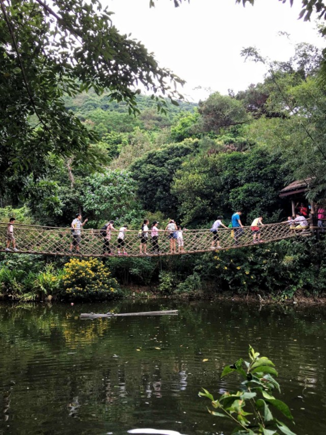 深圳周末好去处大自然,深圳青青世界好玩的景点推荐