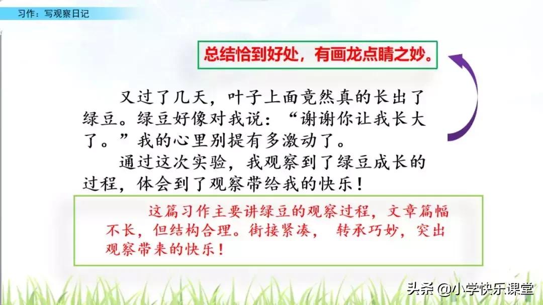 四年级语文第三单元观察日记作文,四年级观察日记400字优秀作文植物