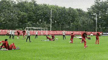 董路谈足球训练,董路评国足踢不了复杂