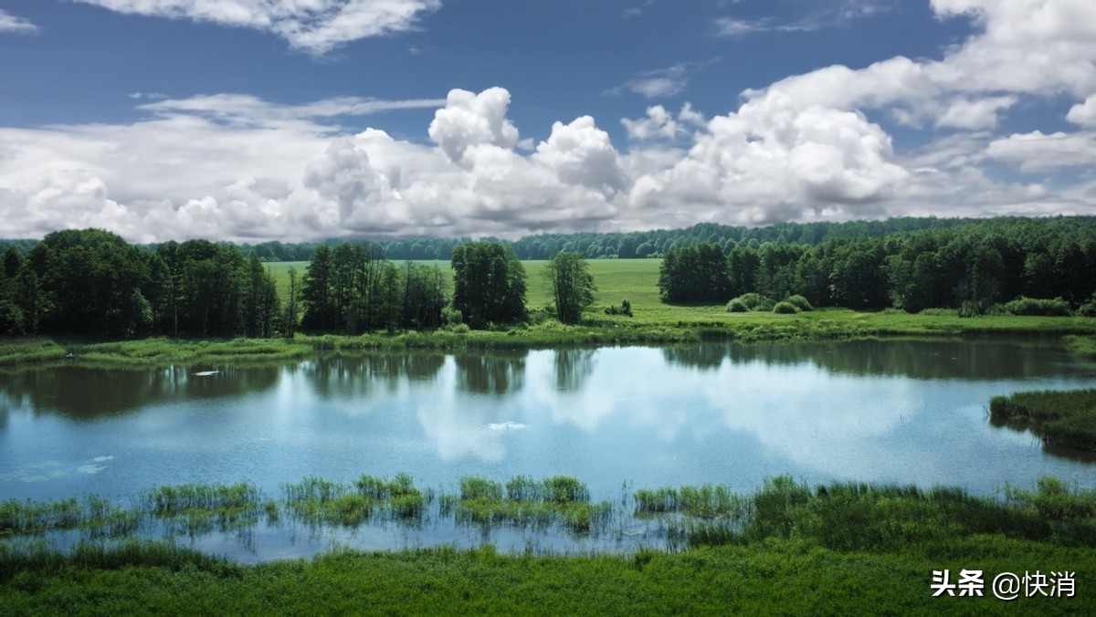 德国喜宝hipp怎么样,hipp喜宝海外旗舰店合肥