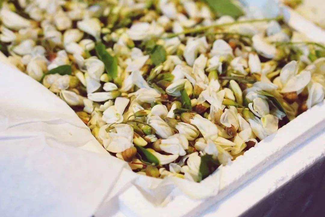 槐花飘香的最佳食用方法,槐花飘香季怎么吃