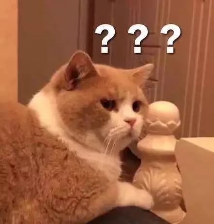 雅萌到底该怎么选,新手买雅萌哪款合适