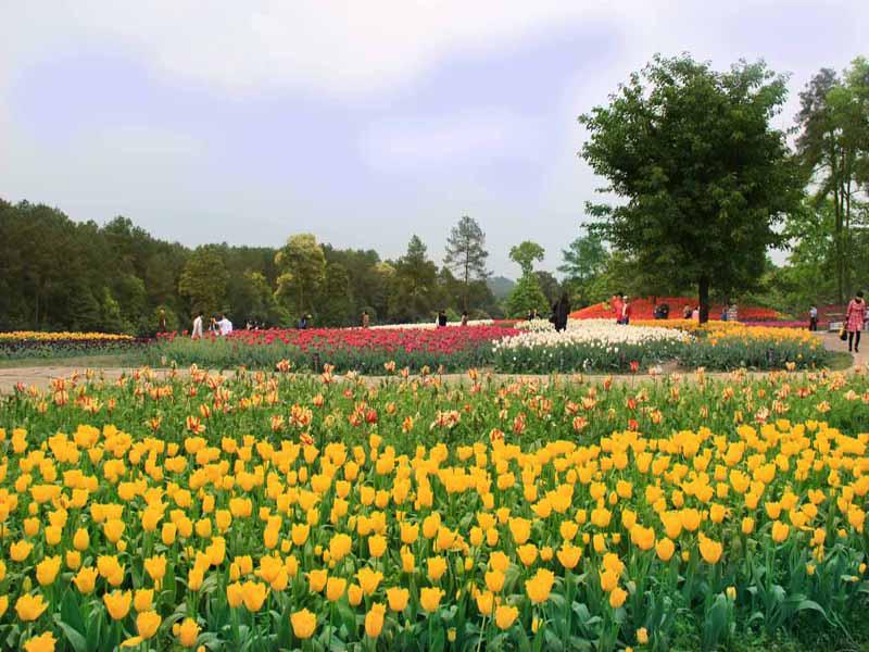 距离成都主城最近的郊区的距离,离成都只要30多分钟最宜居小城