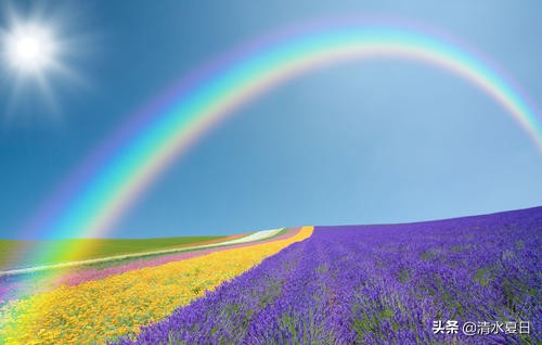 白岩松让孩子吃三种苦的育儿观,育儿经白岩松教育方法