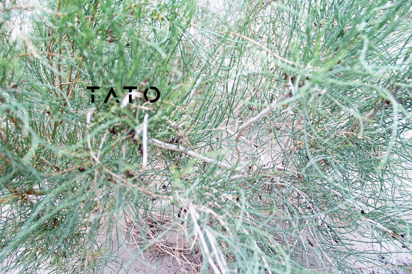 北疆世界魔鬼城,新疆环疆新世界