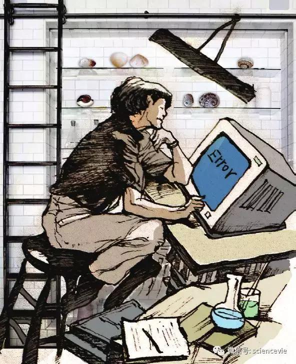 世界上最珍稀的50种贝壳,世界上最贵的贝壳排行榜