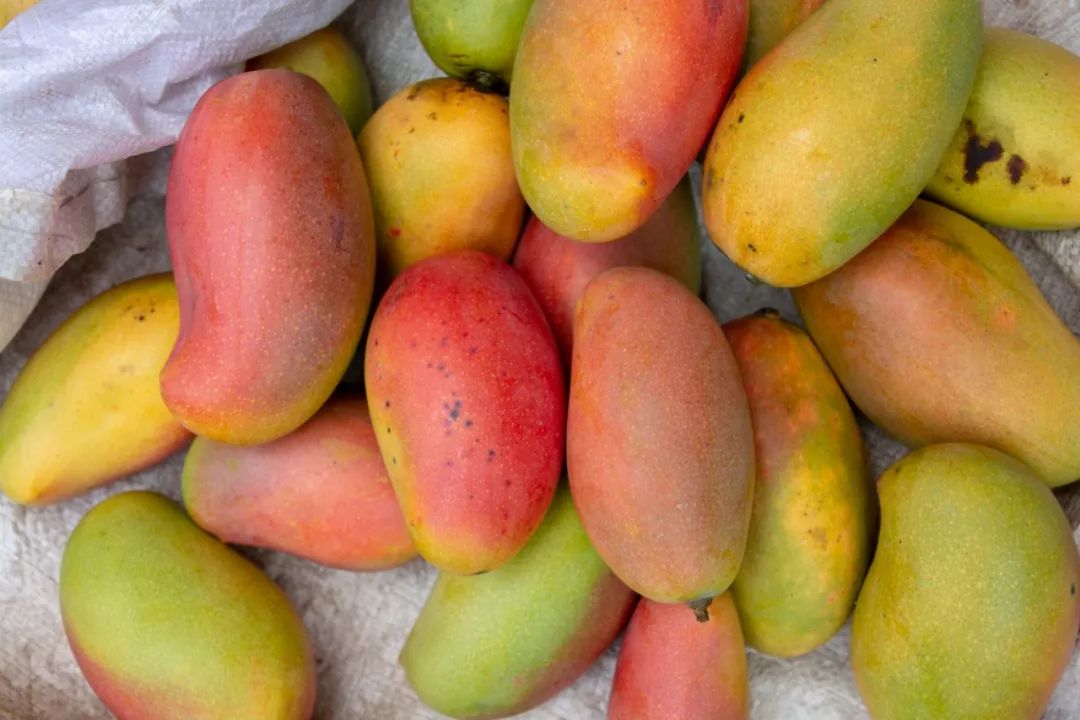 说秋道冬话永胜，气候多样人宜居