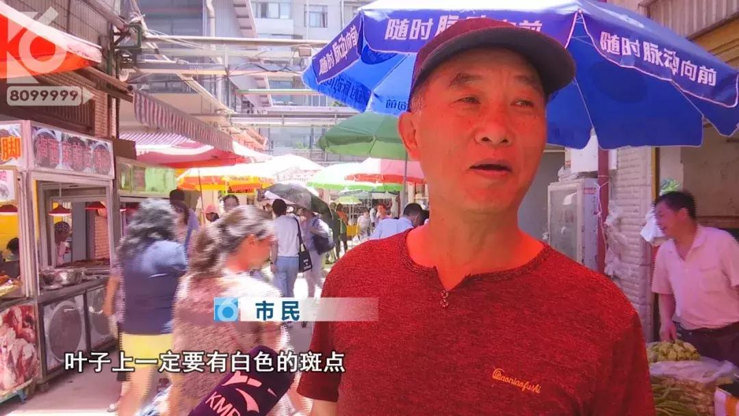 网传干粽叶“回春”*法大**绿绿毒粽叶如何鉴别篆新买菜大妈亲自教你